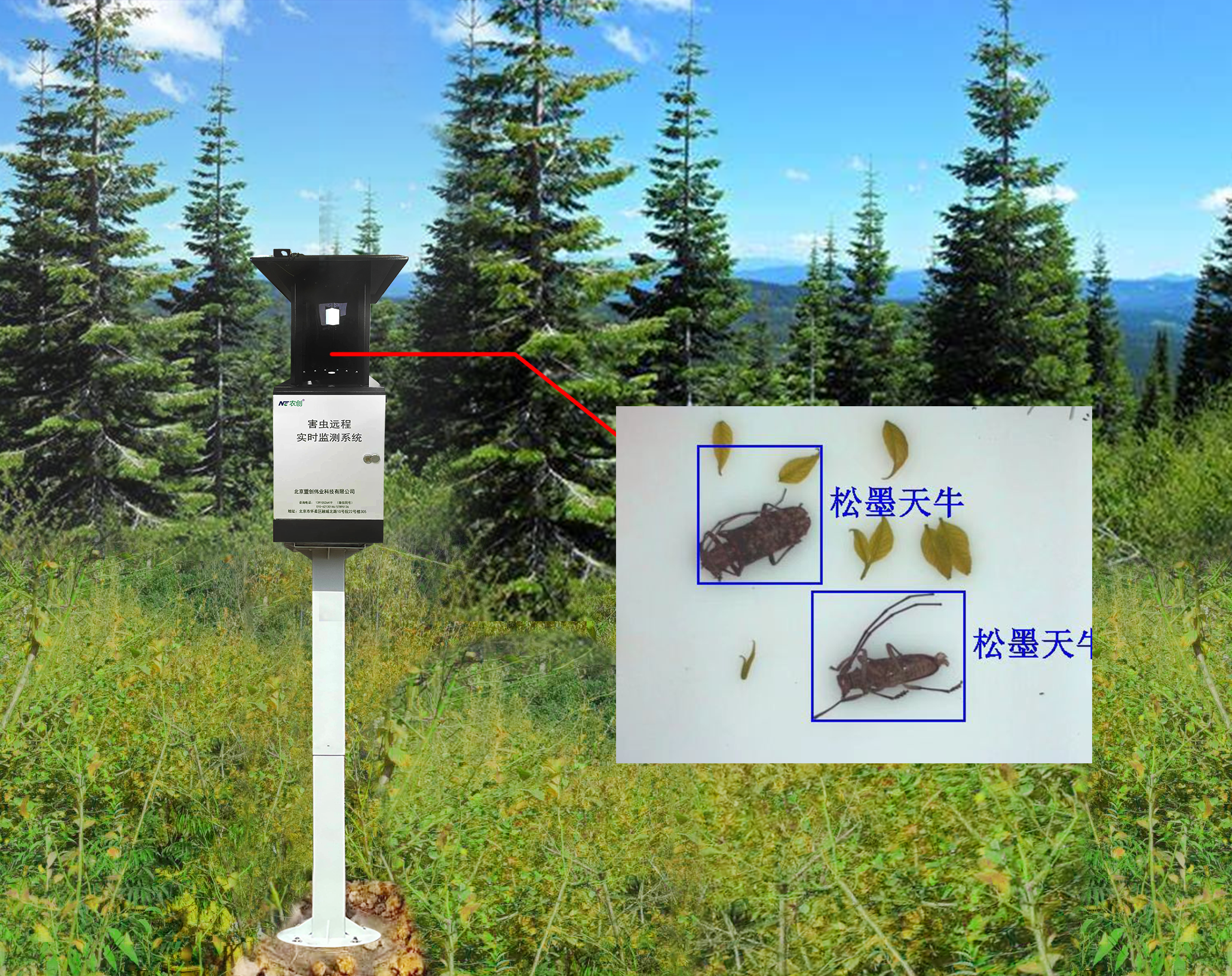 MC-HCTN型物聯(lián)網(wǎng)天牛智能監(jiān)測(cè)系統(tǒng)